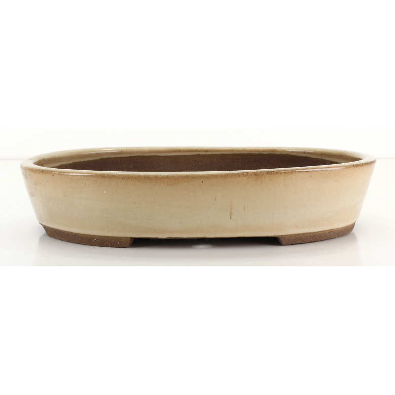 Bonsai pot JTA8681 EJIRI TAIZAN