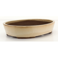 Bonsai pot JTA8681 EJIRI TAIZAN view 2