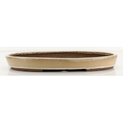 Bonsai pot JTA8688 EJIRI TAIZAN