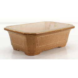 Bonsai pot FCH251 ZHANG ZHICHENG view 2