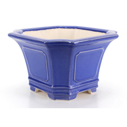 Bonsai pot FCH247 ZHANG ZHICHENG