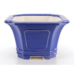 Bonsai pot FCH247 ZHANG ZHICHENG view 2