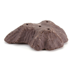 Maceta bonsái CHKU5 vista 3