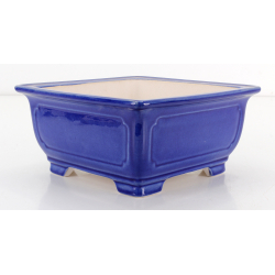 Maceta bonsái FCH242 ZHANG ZHICHENG