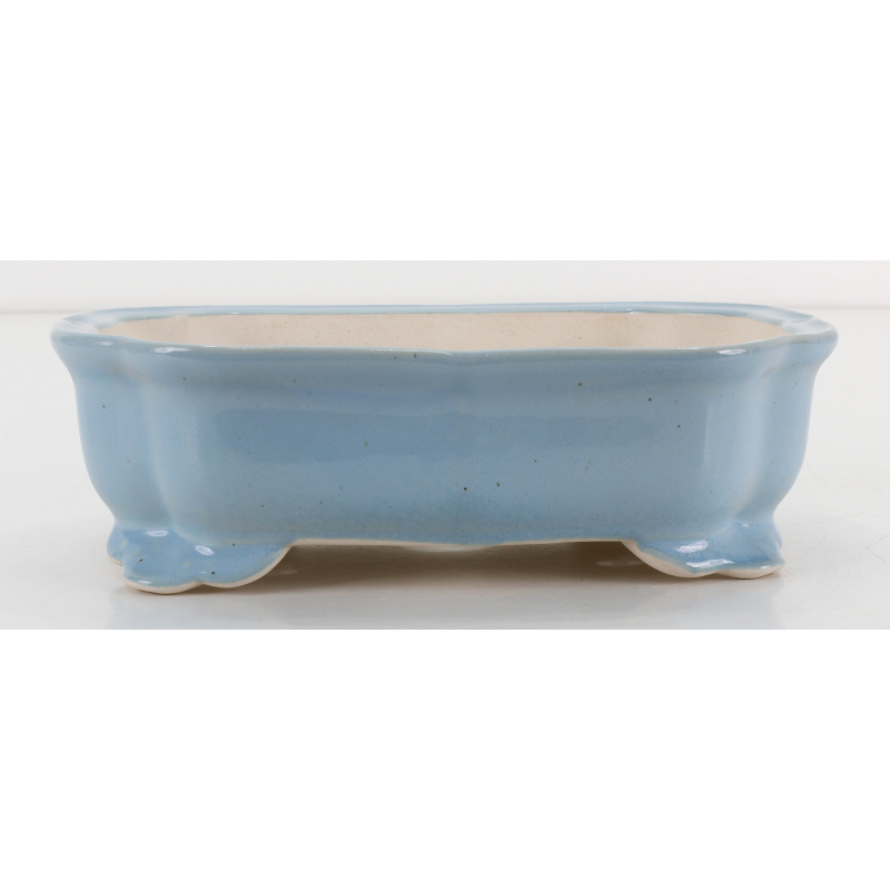 Bonsai pot FCH246 ZHANG ZHICHENG