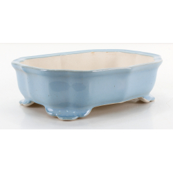 Bonsai pot FCH246 ZHANG ZHICHENG view 2