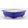 Bonsai pot FCH239 ZHANG ZHICHENG