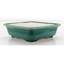 Bonsai pot FCH252 ZHANG ZHICHENG