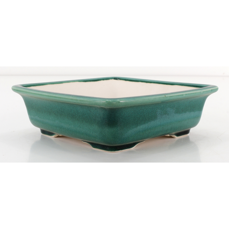 Bonsai pot FCH252 ZHANG ZHICHENG