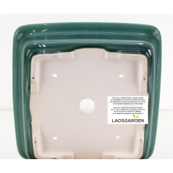 Bonsai pot FCH252 ZHANG ZHICHENG view 3