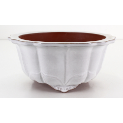 Bonsai pot FCH230 ZHANG ZHICHENG