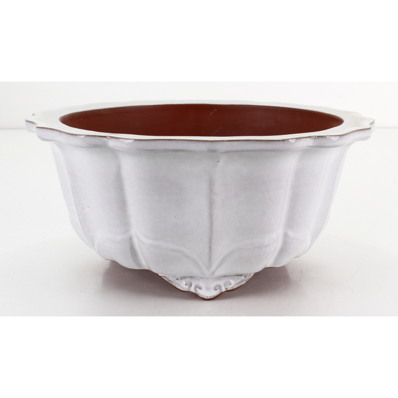 Bonsai pot FCH230 ZHANG ZHICHENG