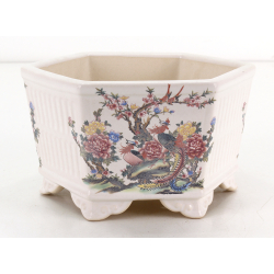 Bonsai pot FCH254 ZHANG ZHICHENG