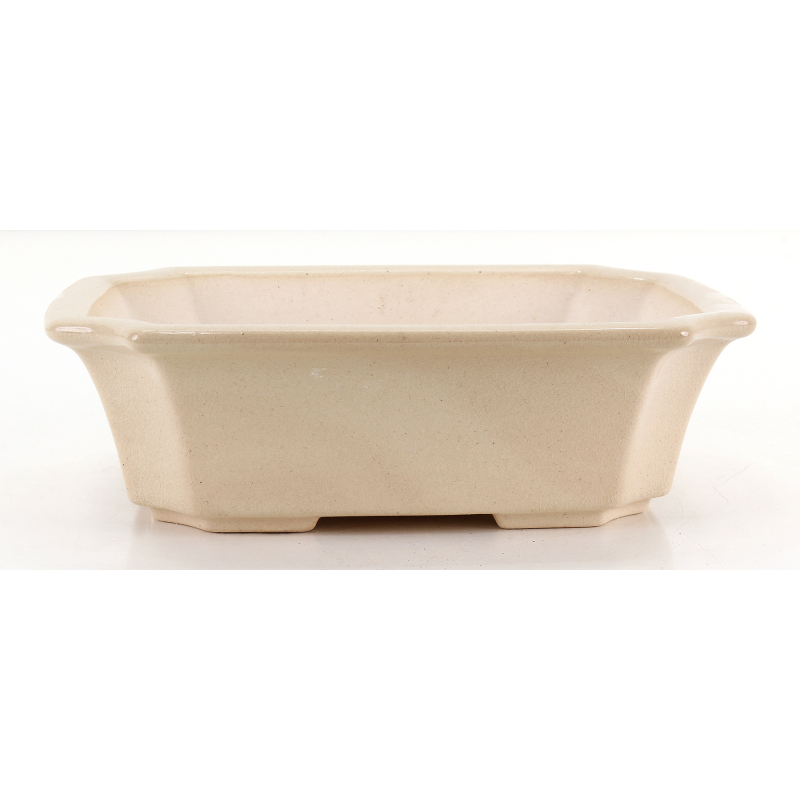 Bonsai pot FCH243 ZHANG ZHICHENG