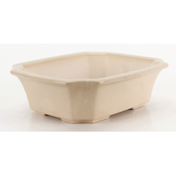 Bonsai pot FCH243 ZHANG ZHICHENG view 2