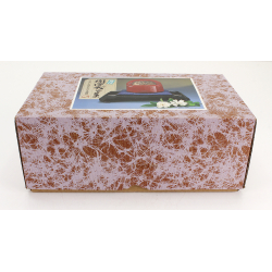 Figura japonesa de hierro fundido FIG75 Daruma vista 5