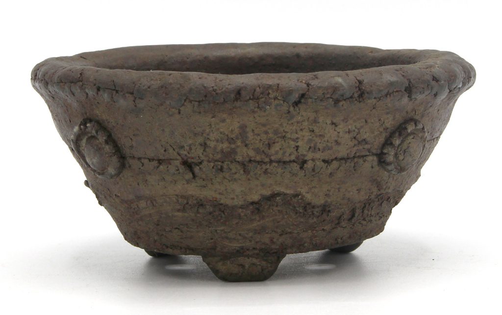 Sadamitsu maceta Laos Garden 6b