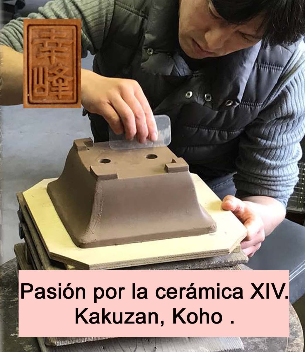 kohokakuzanportada.jpg