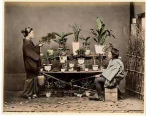 portada historia Laos Garden