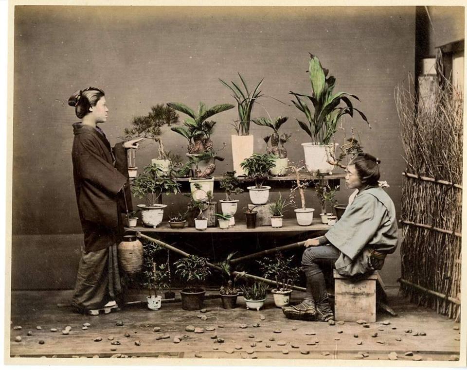 portada historia Laos Garden