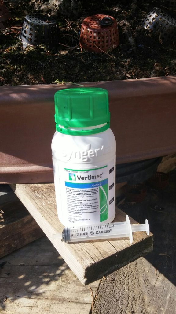 Vertimec Laos Garden