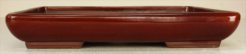 Tongrae Laos Garden 1