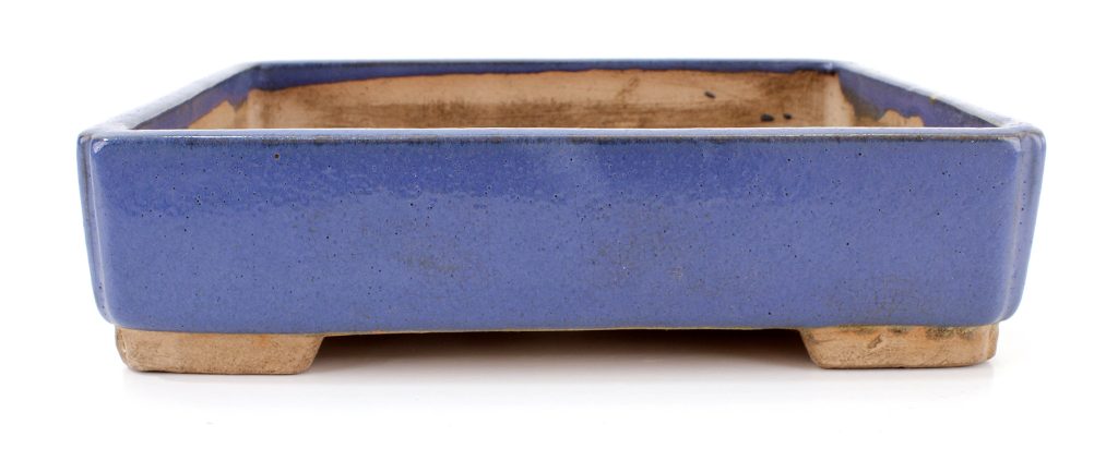 Ino Shukuho Laos garden 1