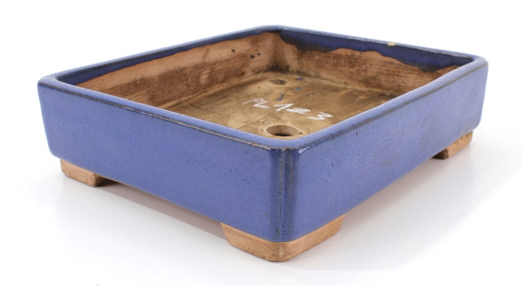 Ino Shukuho Laos garden 2