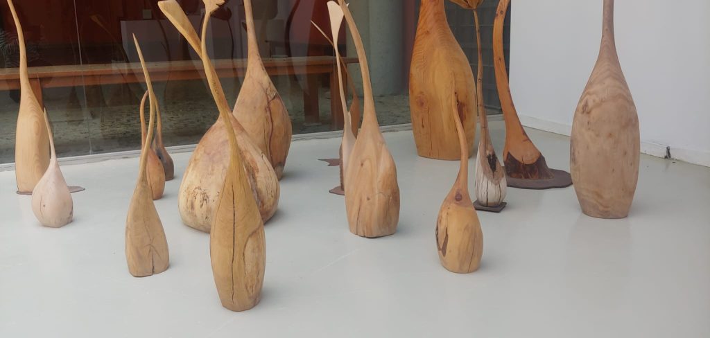 “Brotes” de Federico Gómez Álvarez Laos Garden