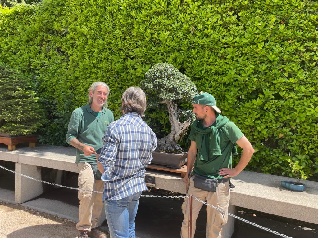 Bonsai RJB 2 Laos Garden