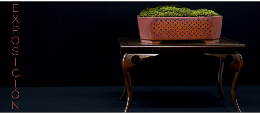 Exposición de bonsái - libros-Ikebana-Antigüedades Japón - Laos Garden