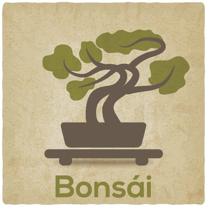 Bonsai