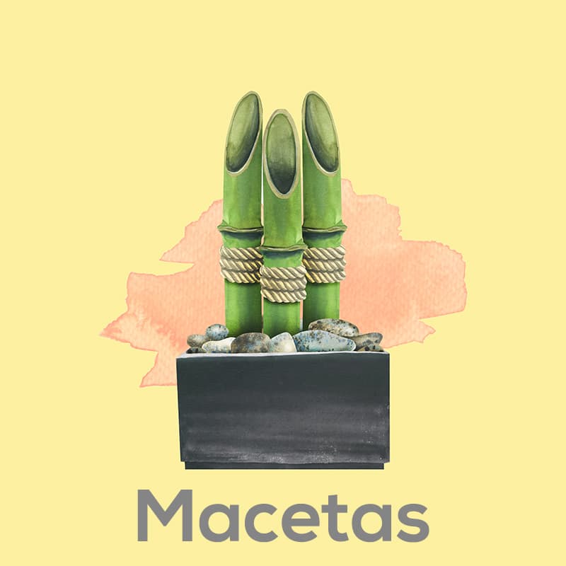 Macetas